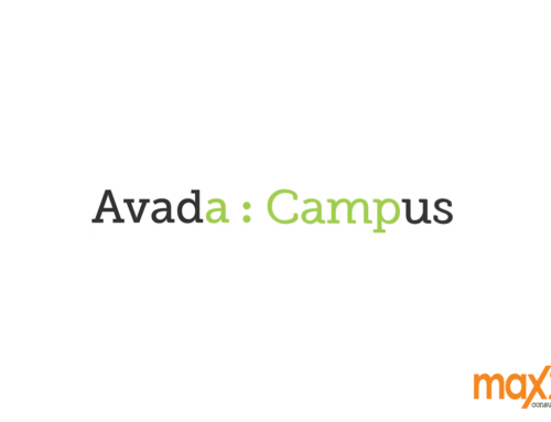 Avada Theme Demo
