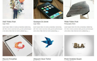 Avada Portfolio