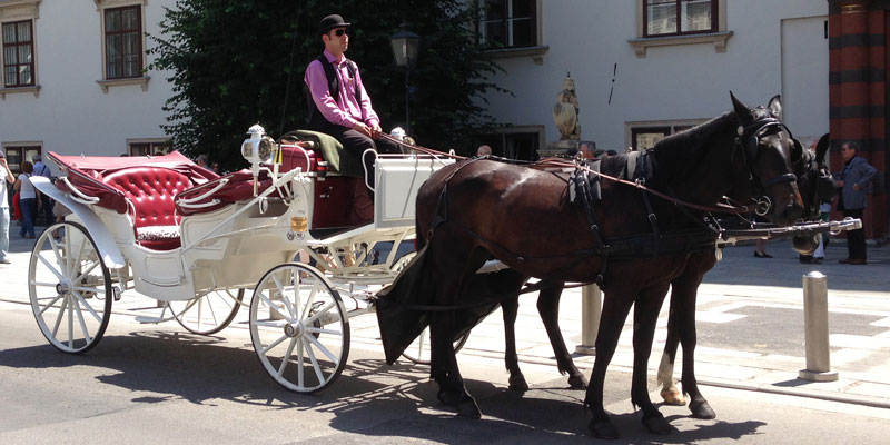 Mainz single treffen image 4
