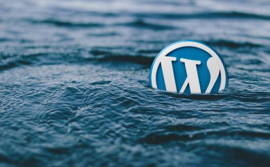 was ist wordpress